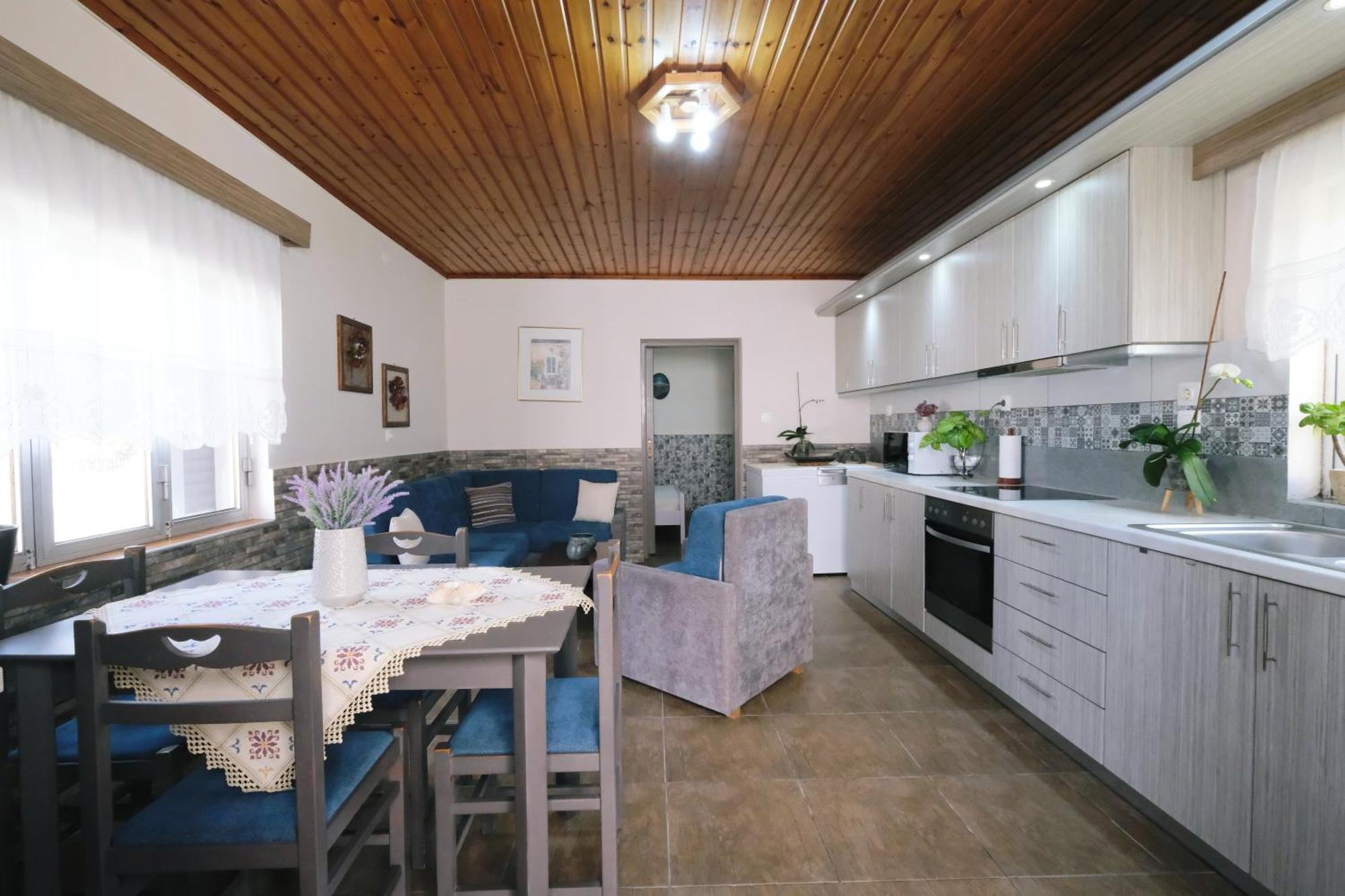 Repanidi Apartment D / Ρεπανίδι Διαμέρισμα Δ Repanidhion Exterior foto