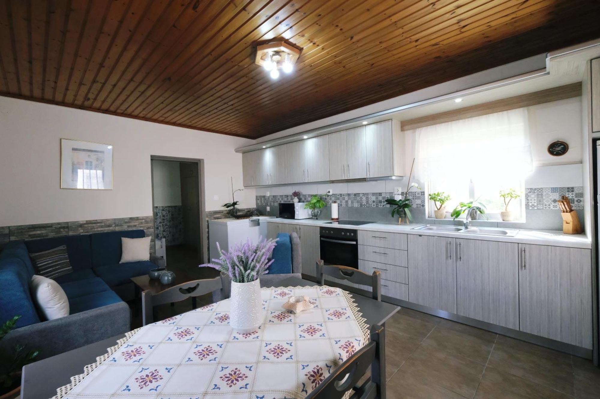 Repanidi Apartment D / Ρεπανίδι Διαμέρισμα Δ Repanidhion Exterior foto