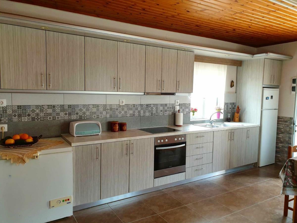 Repanidi Apartment D / Ρεπανίδι Διαμέρισμα Δ Repanidhion Exterior foto