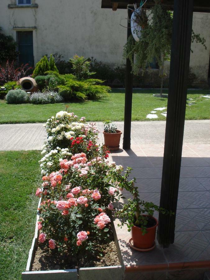 Repanidi Apartment D / Ρεπανίδι Διαμέρισμα Δ Repanidhion Exterior foto